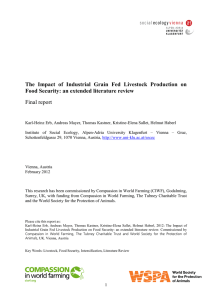 The Impact of Industrial Grain Fed Livestock Production on