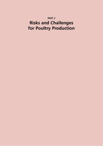 risks and Challenges for poultry production part 2