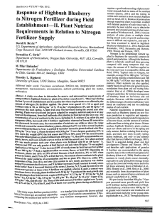 Response  of Higbbush Blueberry to  Nitrogen Fertilizer during Field
