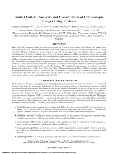 Global Pattern Analysis and Classification of Dermoscopic Images Using Textons