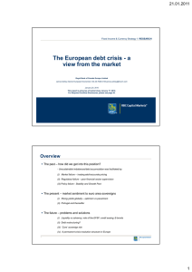 The European debt crisis - a p view from the market 21.01.2011