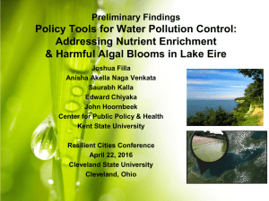 Policy Tools for Water Pollution Control: Addressing Nutrient Enrichment