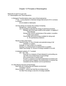 Chapter 13 Principles of Bioenergetics