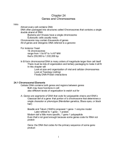 Chapter 24 Genes and Chromosomes