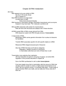 Chapter 26 RNA metabolism