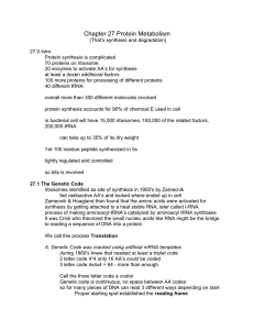 Chapter 27 Protein Metabolism