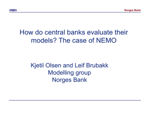 How do central banks evaluate their models? The case of NEMO