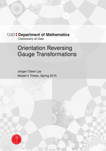 Orientation Reversing Gauge Transformations Jørgen Olsen Lye Master’s Thesis, Spring 2015