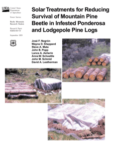 Solar Treatments for Reducing Survival of Mountain Pine Beetle in Infested Ponderosa