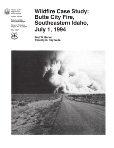 Wildfire Case Study: Butte City Fire, Southeastern Idaho, July 1, 1994