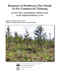 Response of Ponderosa Pine Stands to Pre-Commercial Thinning