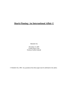 Shark-Finning: An International Affair ©