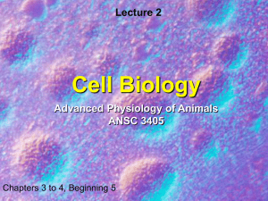 Cell Biology Lecture 2 Advanced Physiology of Animals ANSC 3405