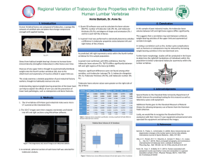 Regional Variation of Trabecular Bone Properties within the Post-Industrial 1. Introduction