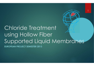 Chloride Treatment using Hollow Fiber Supported Liquid Membranes EUROPEAN PROJECT SEMESTER 2013