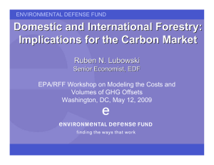 Domestic and International Forestry: Implications for the Carbon Market Ruben N. Lubowski