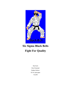 Six Sigma Black Belts Fight For Quality Ron Scott Ross Finnestad