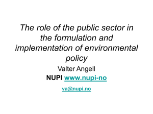 The role of the public sector in the formulation and policy
