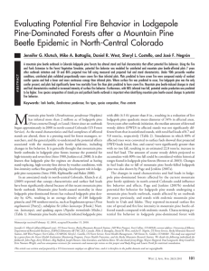 Evaluating Potential Fire Behavior in Lodgepole Beetle Epidemic in North-Central Colorado