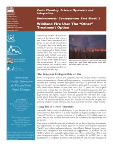 Wildland Fire Use: The “Other” Treatment Option Fuels Planning: Science Synthesis and Integration