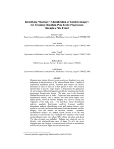 Identifying “Redtops”: Classification of Satellite Imagery