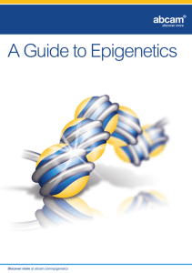 A Guide to Epigenetics 1 Discover more