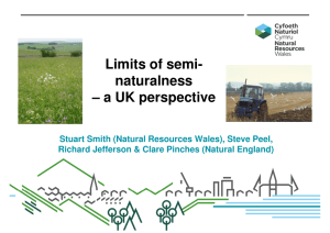 Limits of semi- naturalness – a UK perspective
