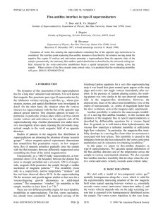 Flux-antiflux interface in type-II superconductors * F. Bass and B. Ya. Shapiro