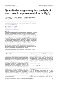 Quantitative magneto-optical analysis of macroscopic supercurrent flow in MgB 2