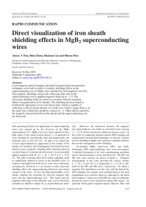 Direct visualization of iron sheath shielding effects in MgB superconducting wires