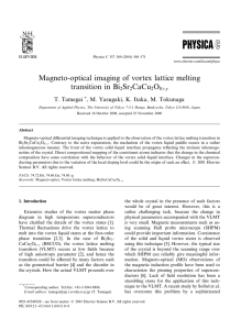 Magneto-optical imaging of vortex lattice melting transition in Bi Sr CaCu