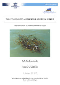 F  Drijvend zeewier als efemeer neustonisch habitat