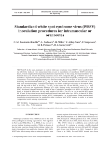 Standardized white spot syndrome virus (WSSV) inoculation procedures for intramuscular or