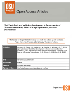 Lipid hydrolysis and oxidation development in frozen mackerel