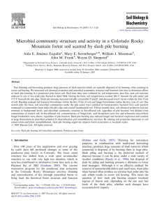 Microbial community structure and activity in a Colorado Rocky