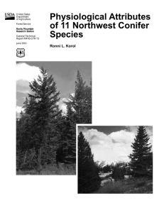 Physiological Attributes of 11 Northwest Conifer Species Ronni L. Korol