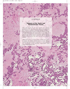 CHAPTER X CHAPTER 4 Tumours of the Xxx Tumours of the Testis and