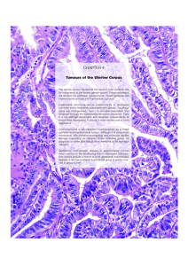 CHAPTER 4 Tumours of the Uterine Corpus