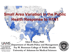 Small Area Variation in the Public