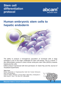 Stem cell differentiation protocol Human embryonic stem cells to