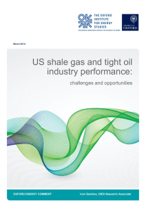 US shale gas and tight oil industry performance: challenges and opportunities