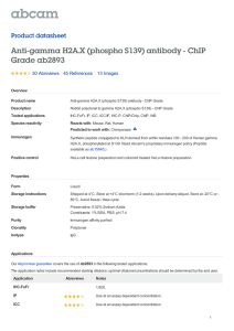 Anti-gamma H2A.X (phospho S139) antibody - ChIP Grade ab2893