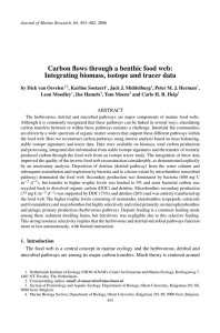 Carbon flows through a benthic food web: