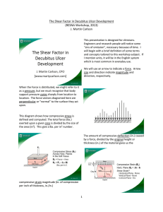 The Shear Factor in Decubitus Ulcer Development (RESNA Workshop, 2013)
