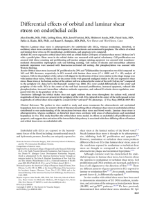 Differential effects of orbital and laminar shear stress on endothelial cells