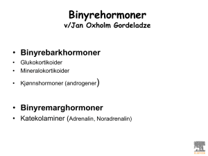Binyrehormoner  ) Binyrebarkhormoner