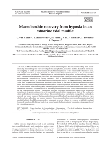 Macrobenthic recovery from hypoxia in an estuarine tidal mudflat O PEN