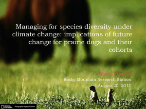 Managing for species diversity under climate change: implications of future