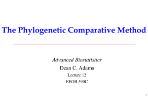 The Phylogenetic Comparative Method Advanced Biostatistics Dean C. Adams Lecture 12