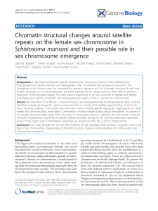 Chromatin structural changes around satellite